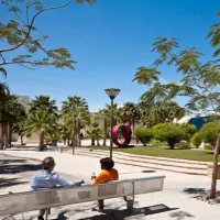 Facilities Management