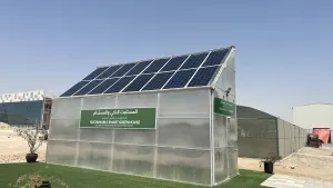Smart Greenhouse