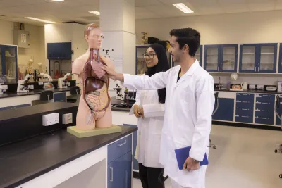 mathematics_and_natural_sciences-human_anatomy.