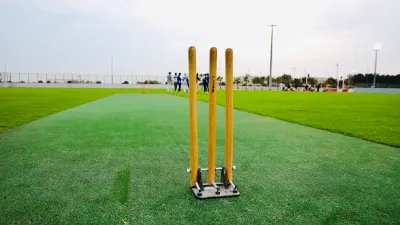 natural_grass_cricket_4_.jpg