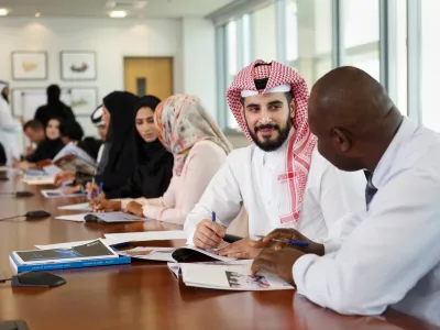 Professional education