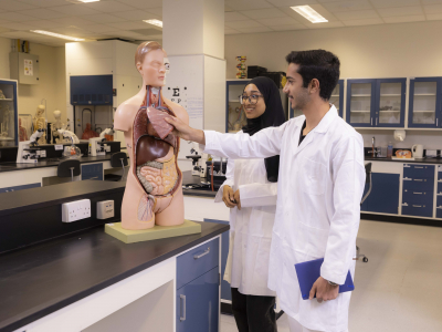 mathematics_and_natural_sciences-human_anatomy.