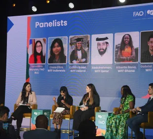 Qatar National Youth