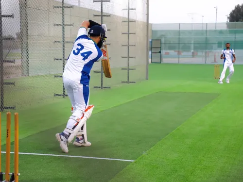 Cricket