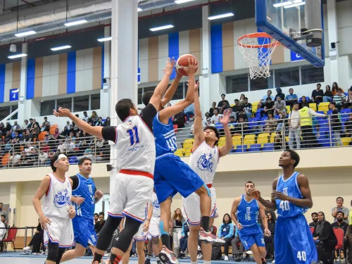 basketball