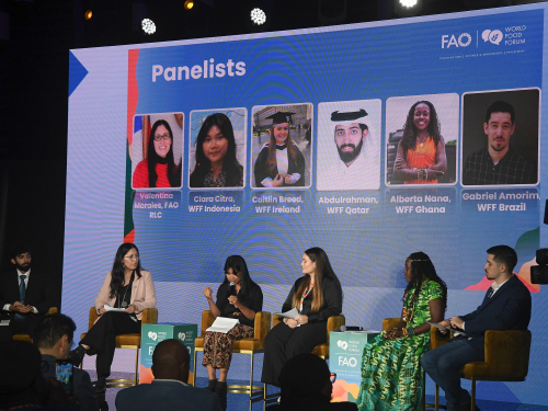 Qatar National Youth