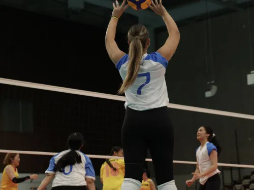 Volleyball