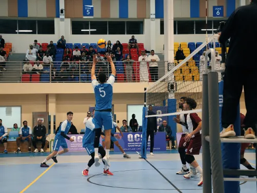Volleyball