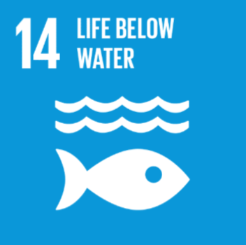 SDG 14