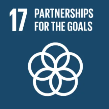 SDG 17