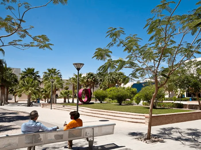 Student Services