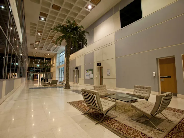 Before you move to Qatar