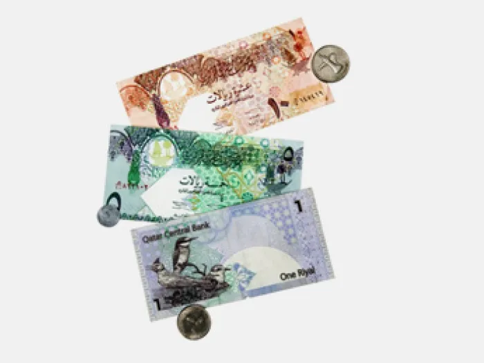 Qatar currency
