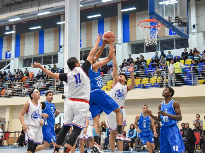 basketball