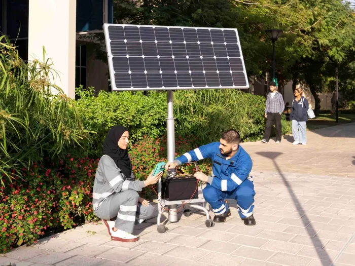 renewable energy desc