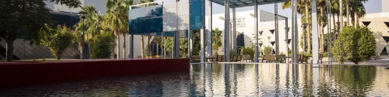 Before you move to Qatar