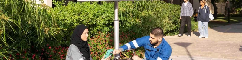 renewable energy desc