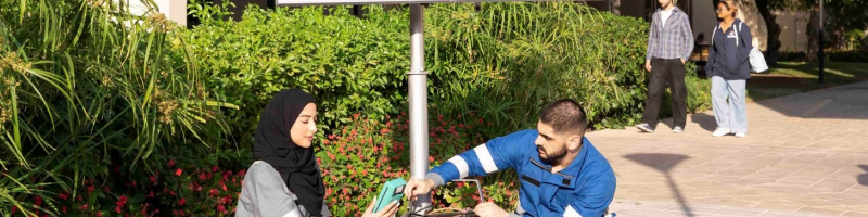 renewable energy desc