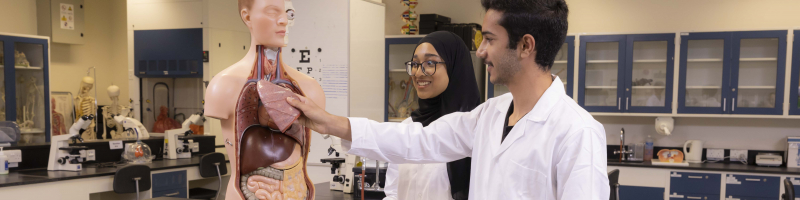 mathematics_and_natural_sciences-human_anatomy.