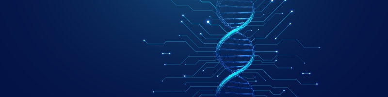 College of Computing and Information Technology