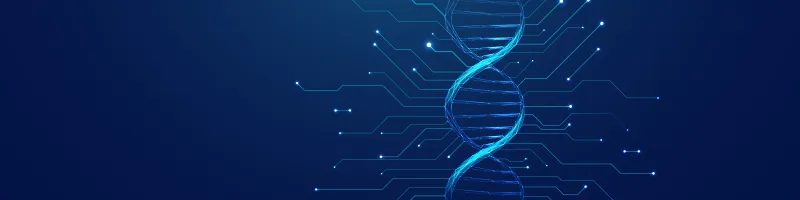 College of Computing and Information Technology