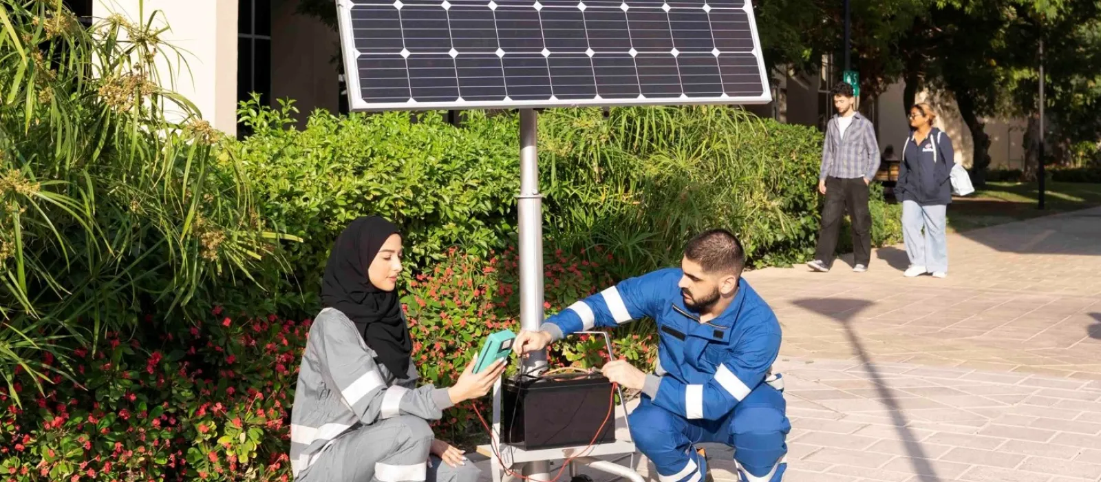 renewable energy desc