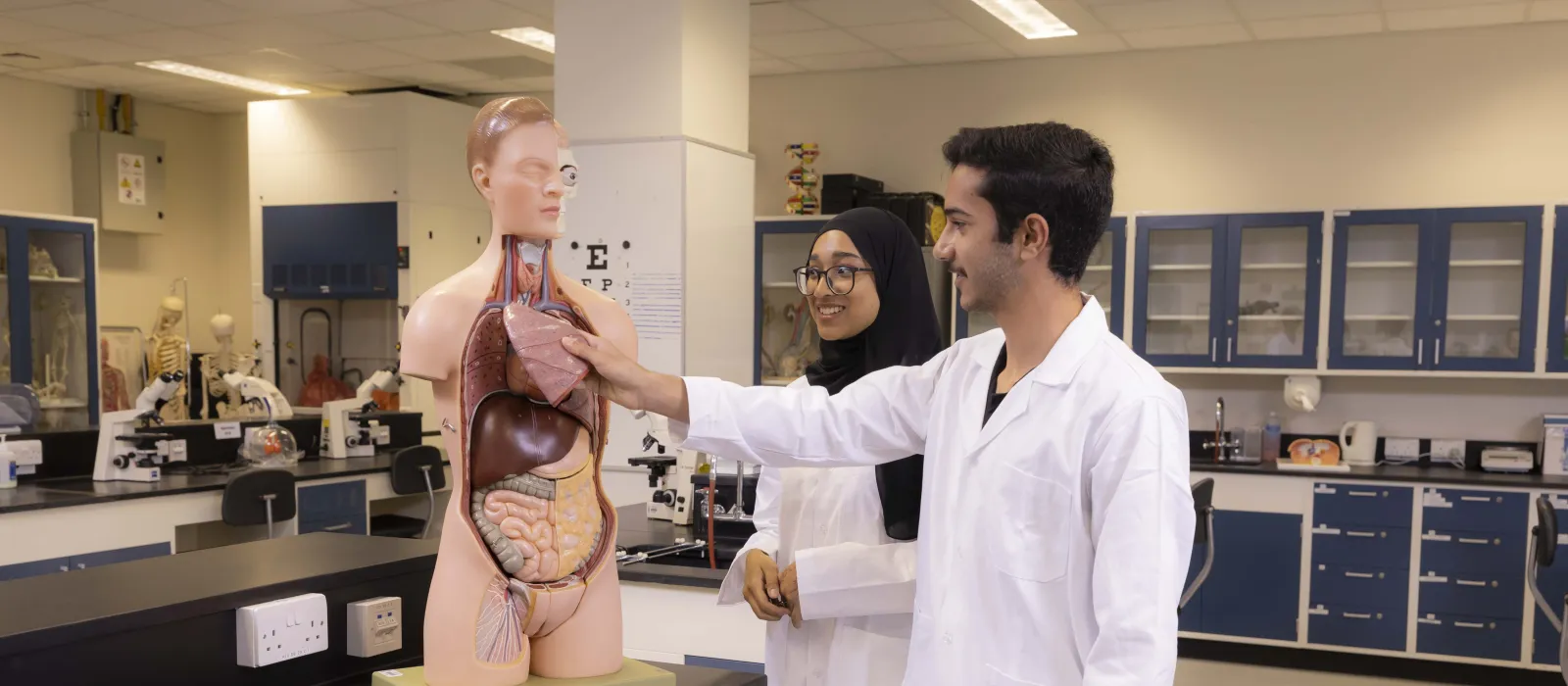 mathematics_and_natural_sciences-human_anatomy.