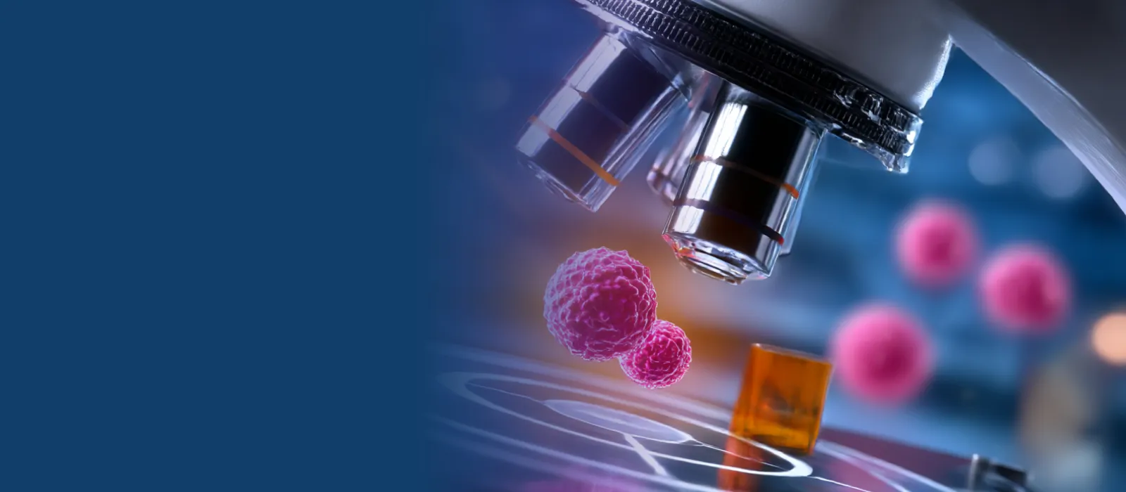 Website Hero Banner-Cancer conference